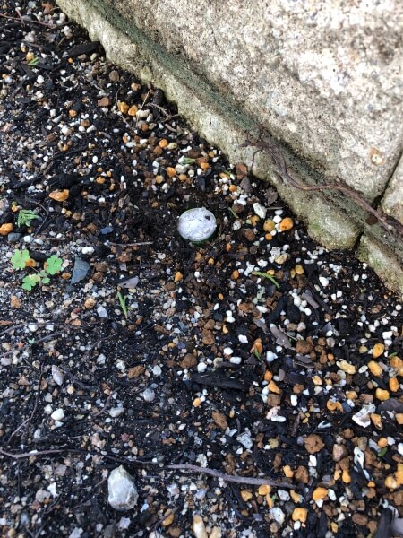 f:id:n_hiro123:20181001183602j:plain