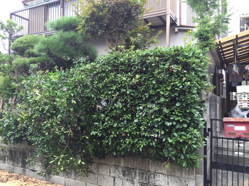 f:id:n_housing:20161017154528j:plain