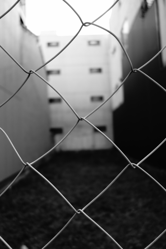 f:id:n_m_res:20161112154550j:plain