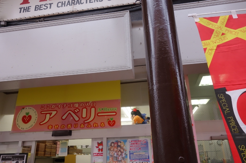 f:id:n_m_res:20170511162918j:plain