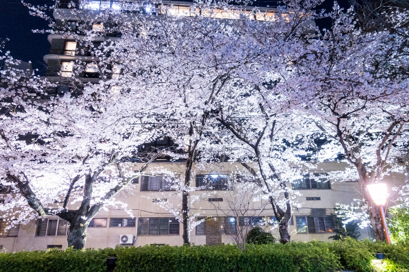 f:id:n_m_res:20180328143543j:plain