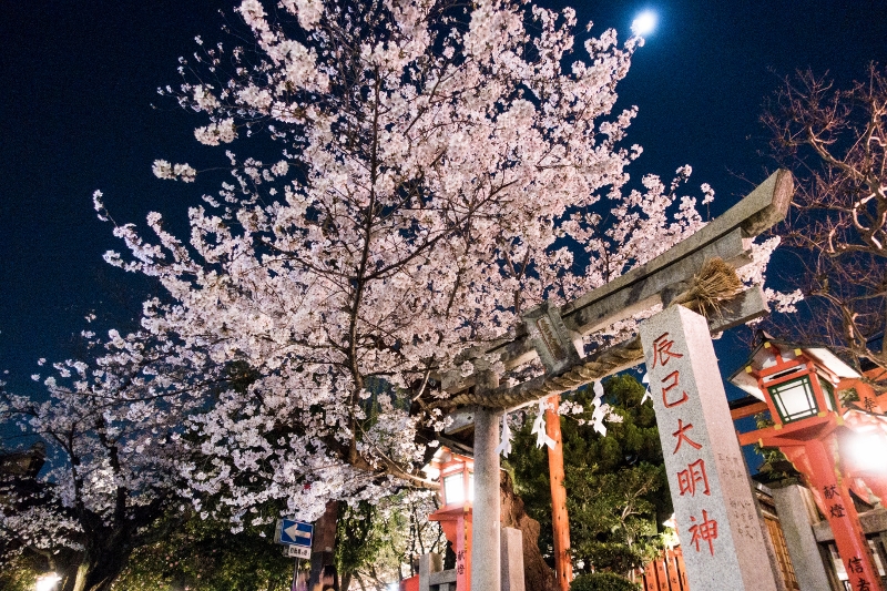 f:id:n_m_res:20180328143631j:plain
