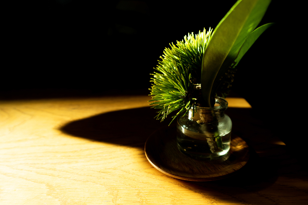 f:id:n_m_res:20181010141917j:plain f:id:n_m_res:20181010141917j:plain