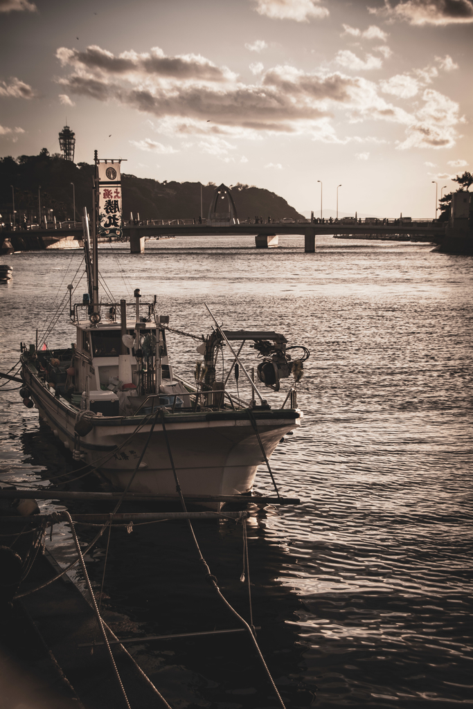 f:id:n_m_res:20181010153700j:plain f:id:n_m_res:20181010153700j:plain