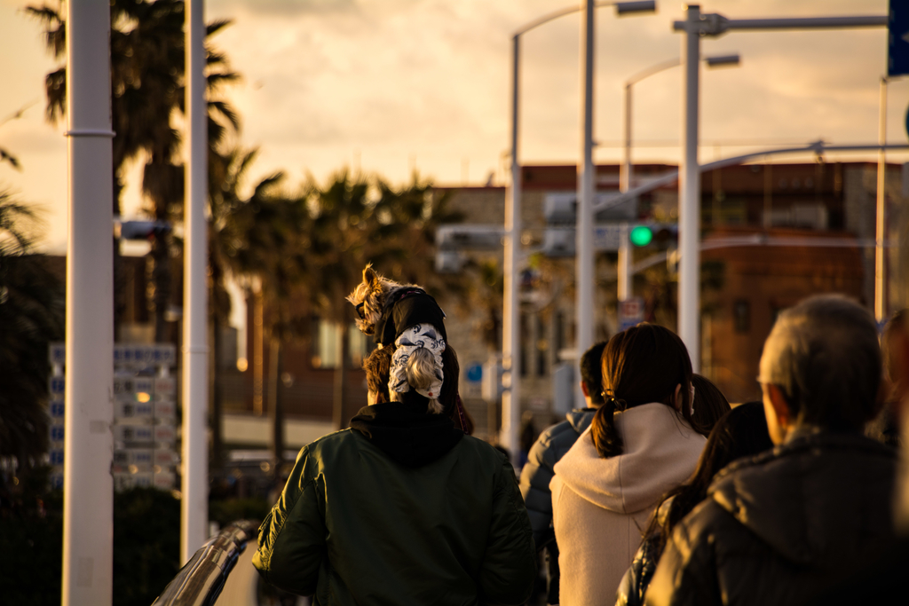 f:id:n_m_res:20181010153835j:plain f:id:n_m_res:20181010153835j:plain