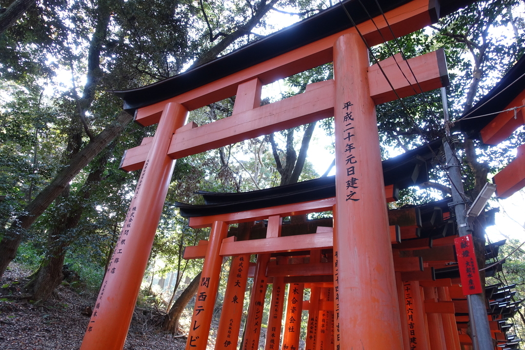 f:id:n_m_res:20181128214530j:plain