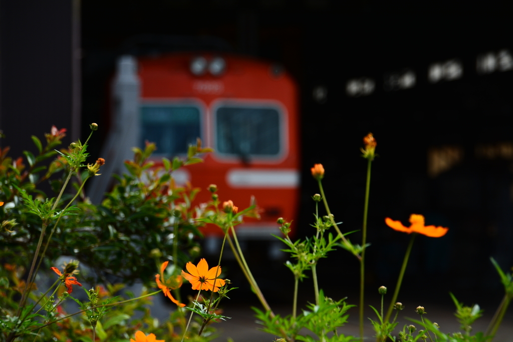f:id:n_m_res:20190110154606j:plain f:id:n_m_res:20190110154606j:plain