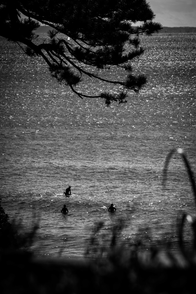 f:id:n_m_res:20190201092931j:plain f:id:n_m_res:20190201092931j:plain