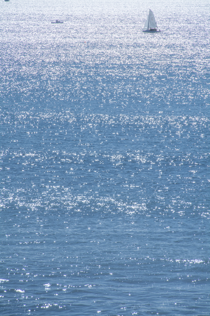 f:id:n_m_res:20190206163121j:plain f:id:n_m_res:20190206163121j:plain