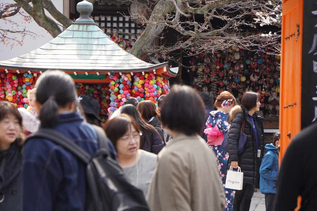 f:id:n_m_res:20190226104147j:plain f:id:n_m_res:20190226104147j:plain