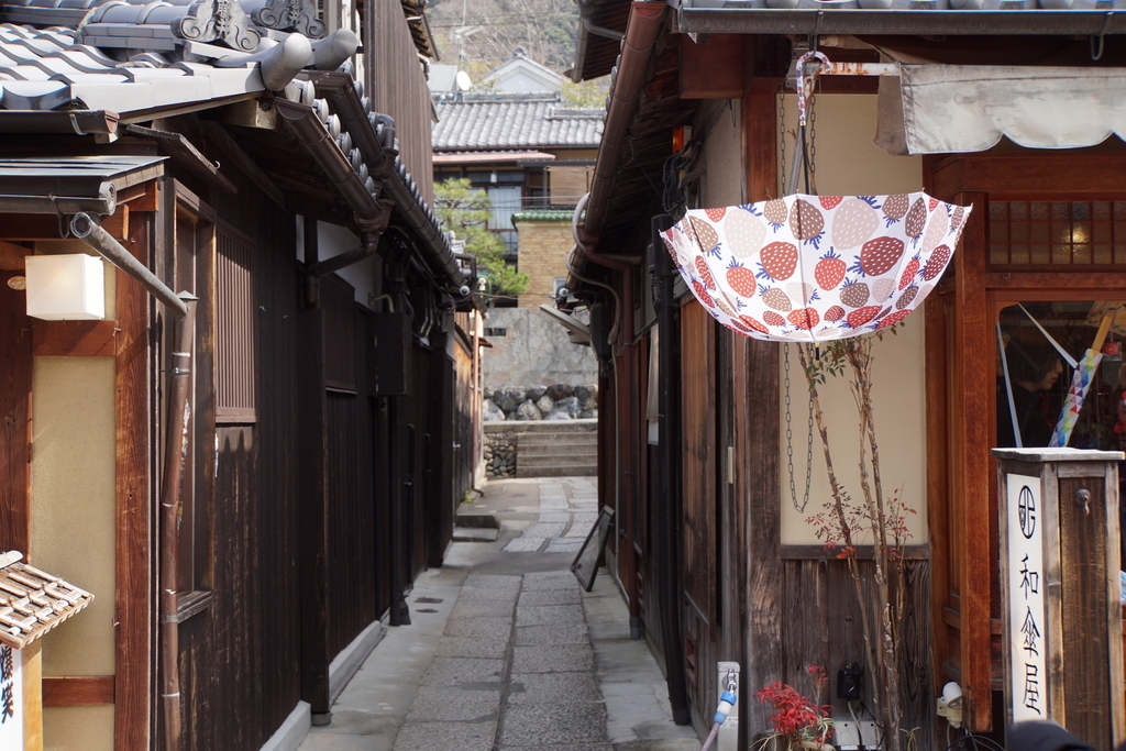 f:id:n_m_res:20190226104328j:plain f:id:n_m_res:20190226104328j:plain