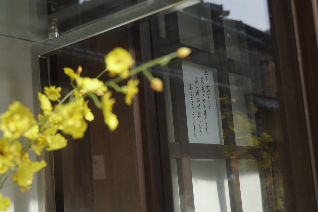 f:id:n_m_res:20190226104809j:plain f:id:n_m_res:20190226104809j:plain