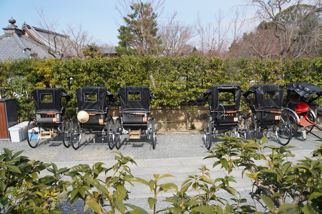 f:id:n_m_res:20190226104812j:plain f:id:n_m_res:20190226104812j:plain