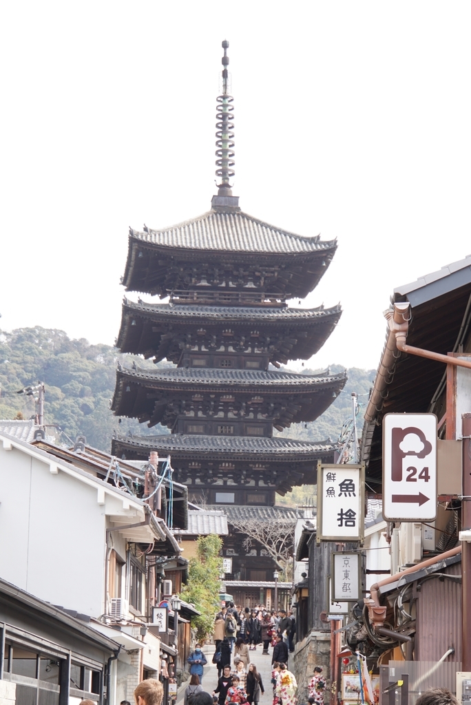 f:id:n_m_res:20190226113009j:plain f:id:n_m_res:20190226113009j:plain