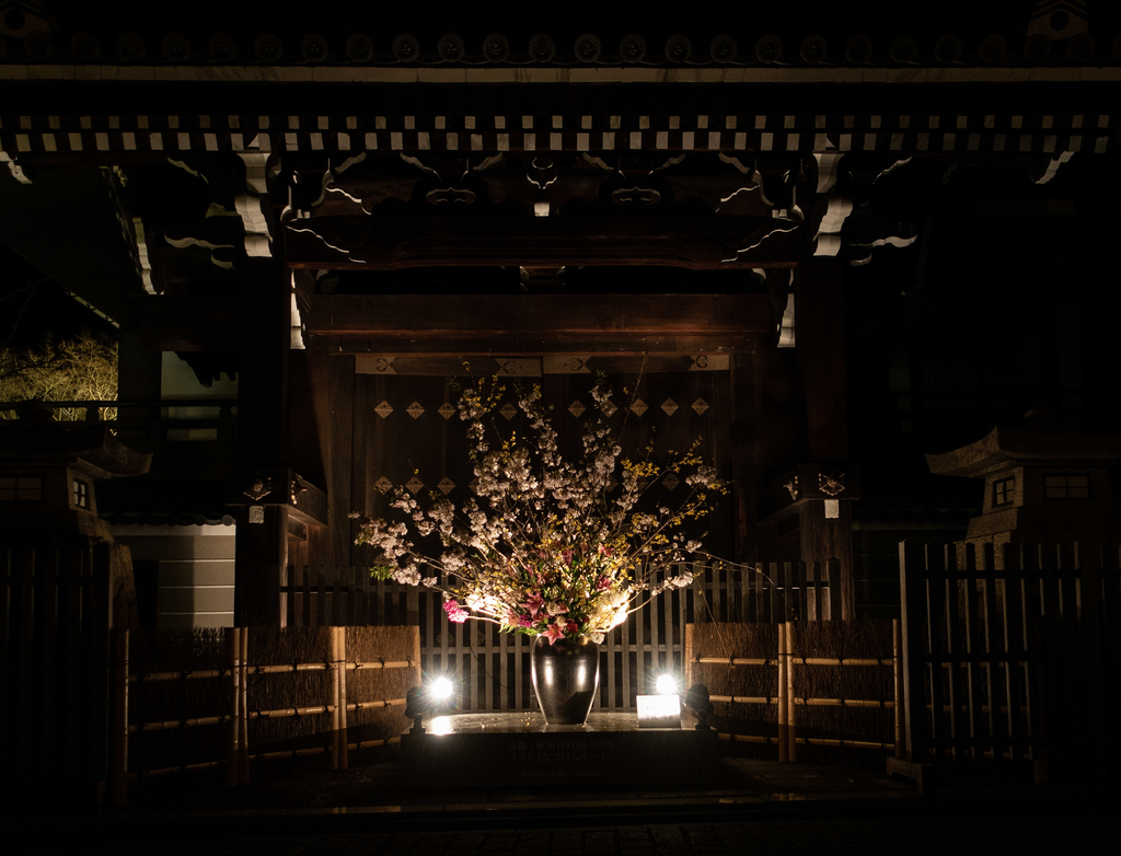 f:id:n_m_res:20190312142445j:plain