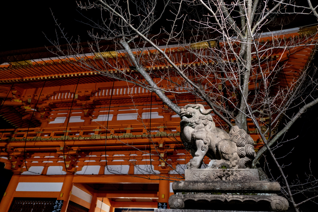 f:id:n_m_res:20190312142451j:plain