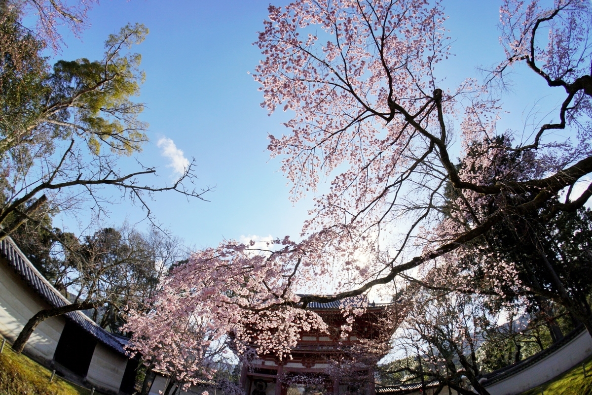 f:id:n_m_res:20190402094242j:plain