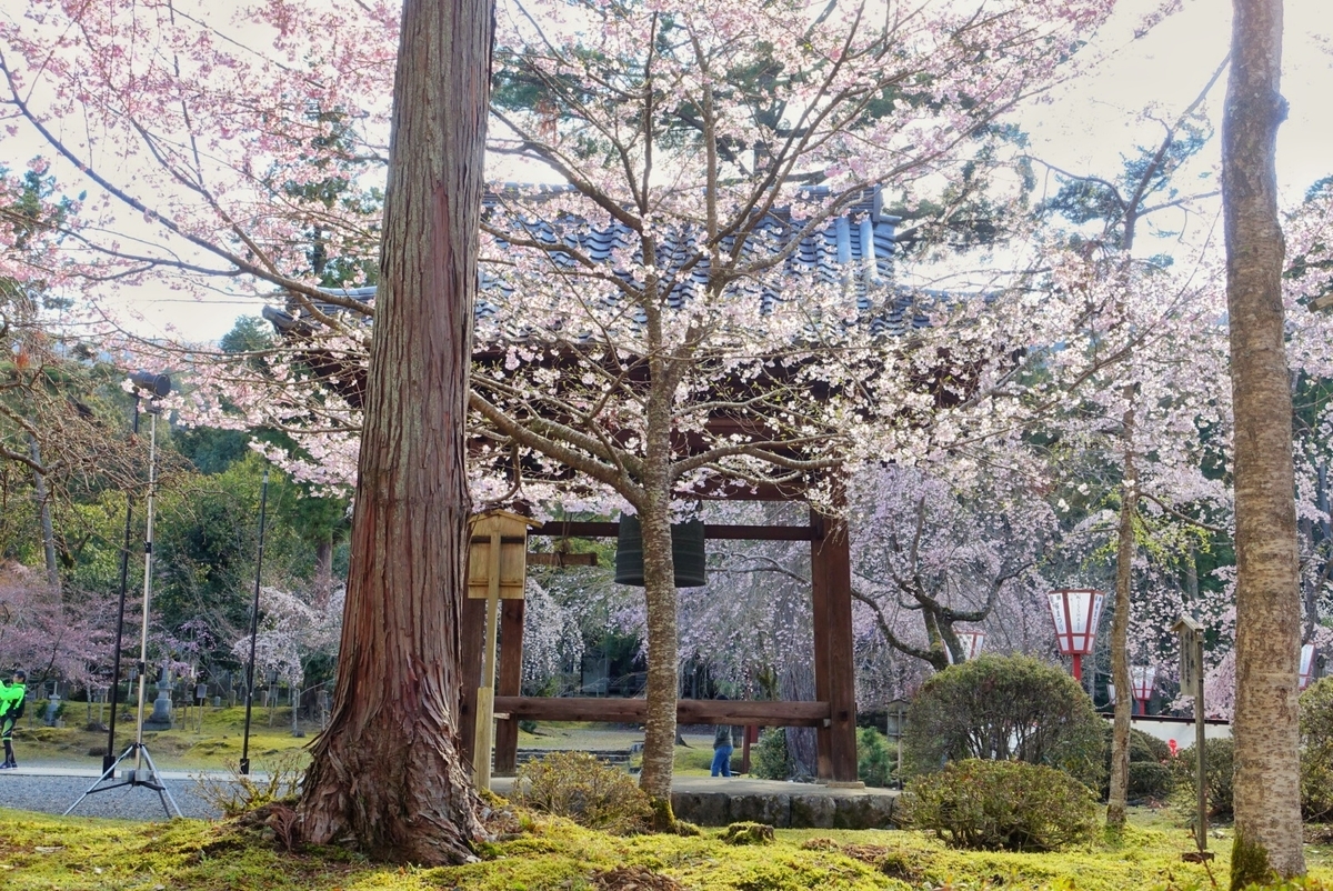 f:id:n_m_res:20190402094314j:plain