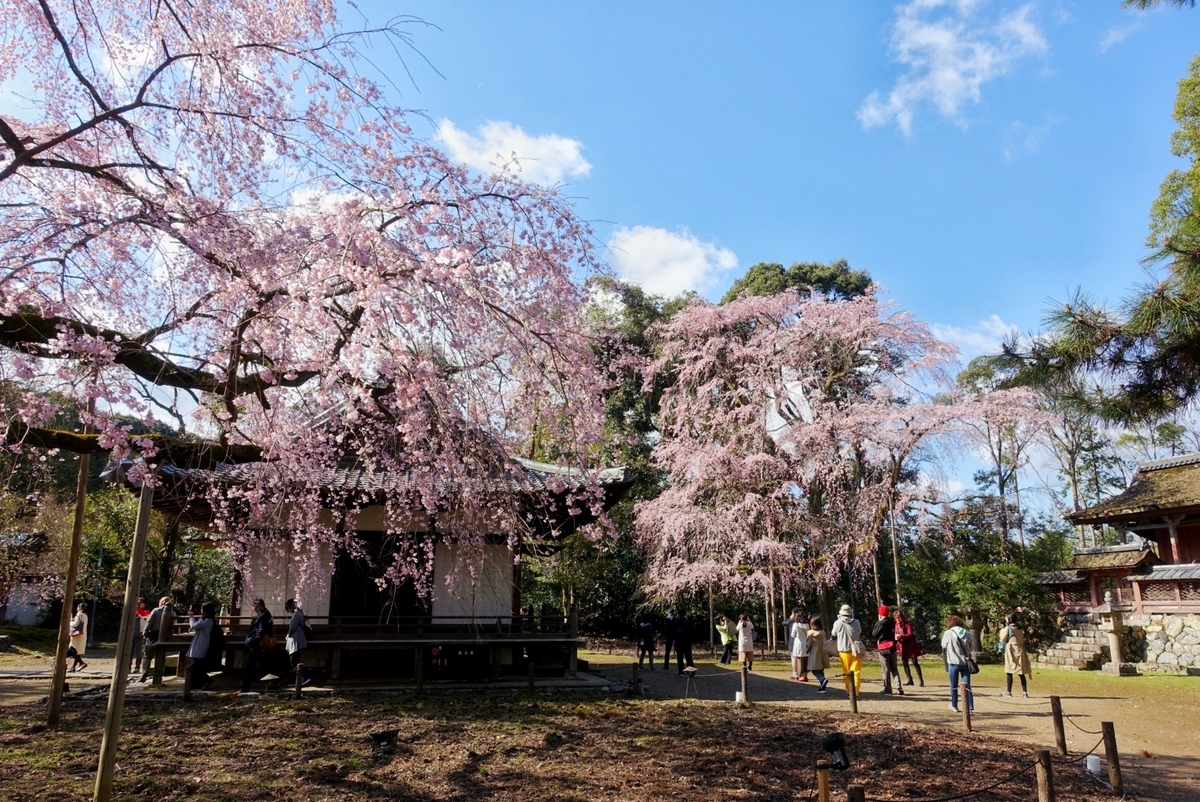 f:id:n_m_res:20190402094318j:plain