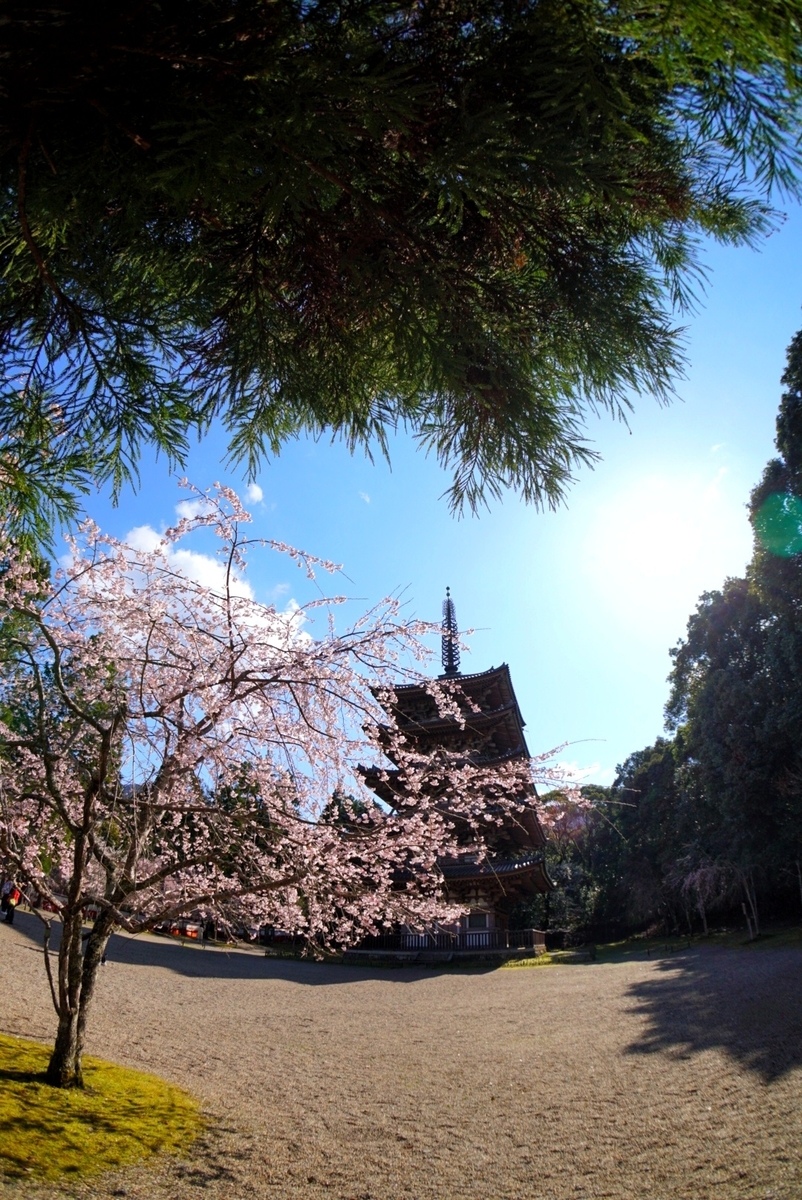 f:id:n_m_res:20190402094341j:plain