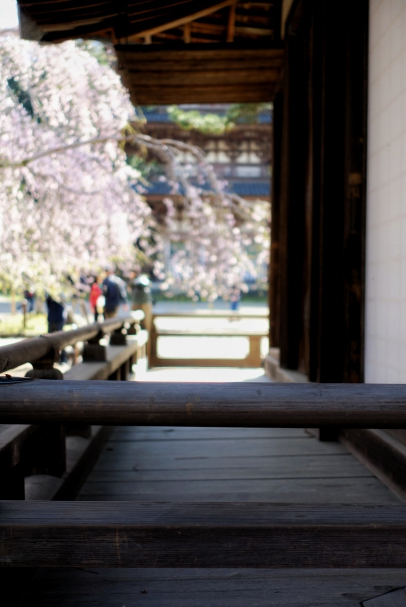 f:id:n_m_res:20190402094344j:plain