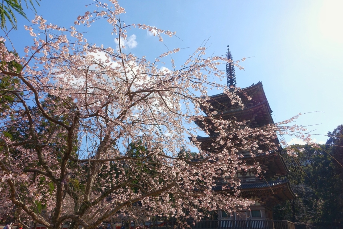 f:id:n_m_res:20190402094425j:plain