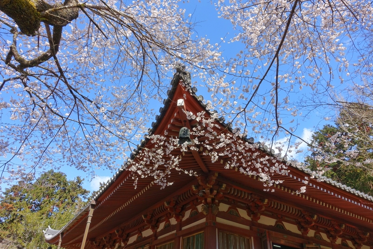 f:id:n_m_res:20190402094500j:plain