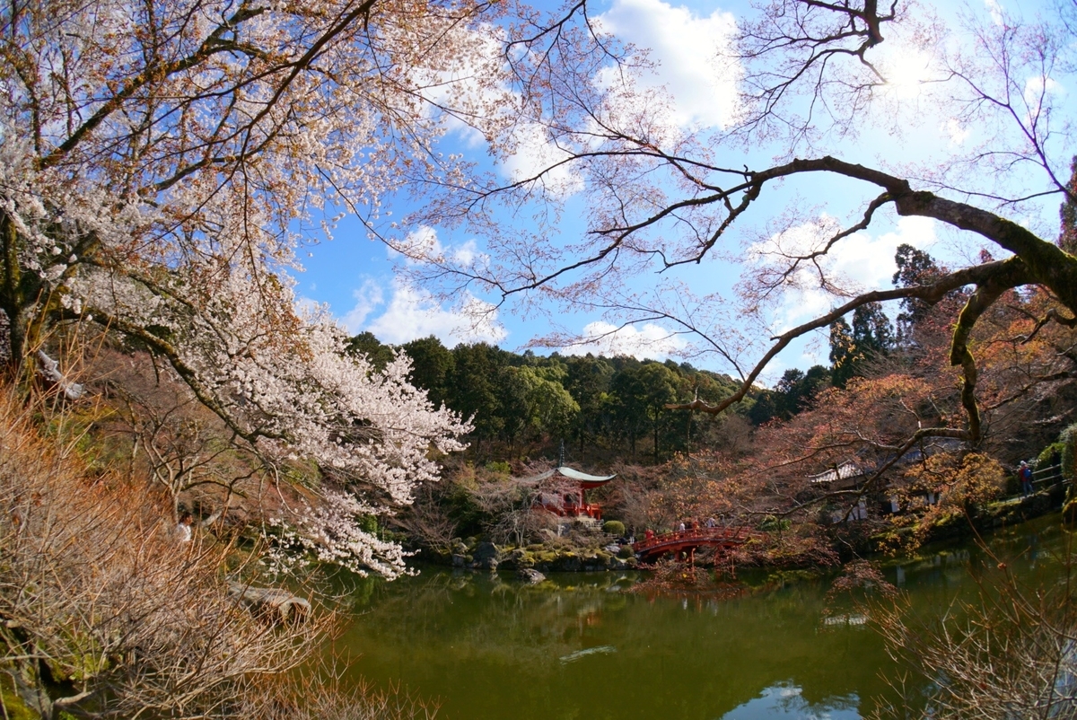 f:id:n_m_res:20190402094502j:plain