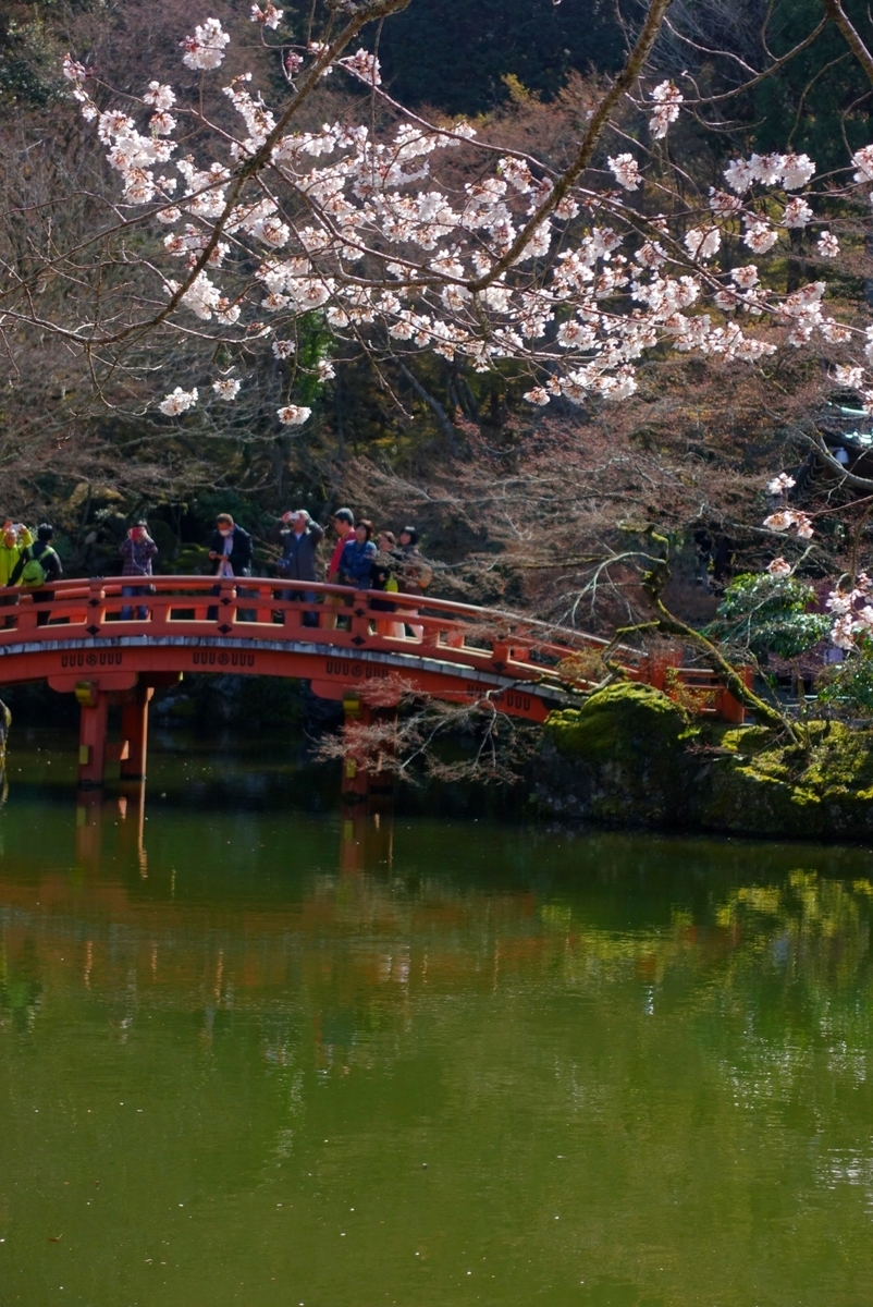 f:id:n_m_res:20190402094526j:plain