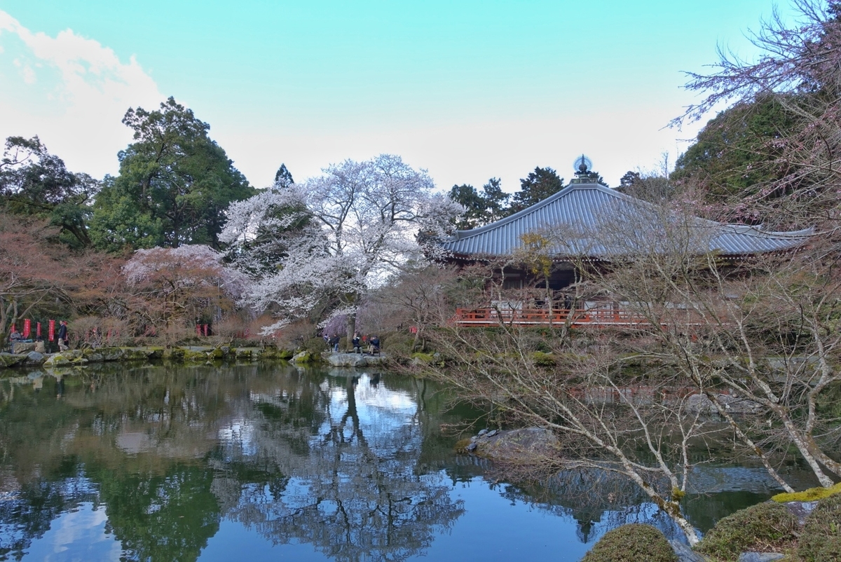 f:id:n_m_res:20190402094529j:plain