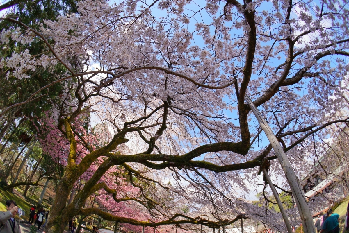 f:id:n_m_res:20190402094600j:plain