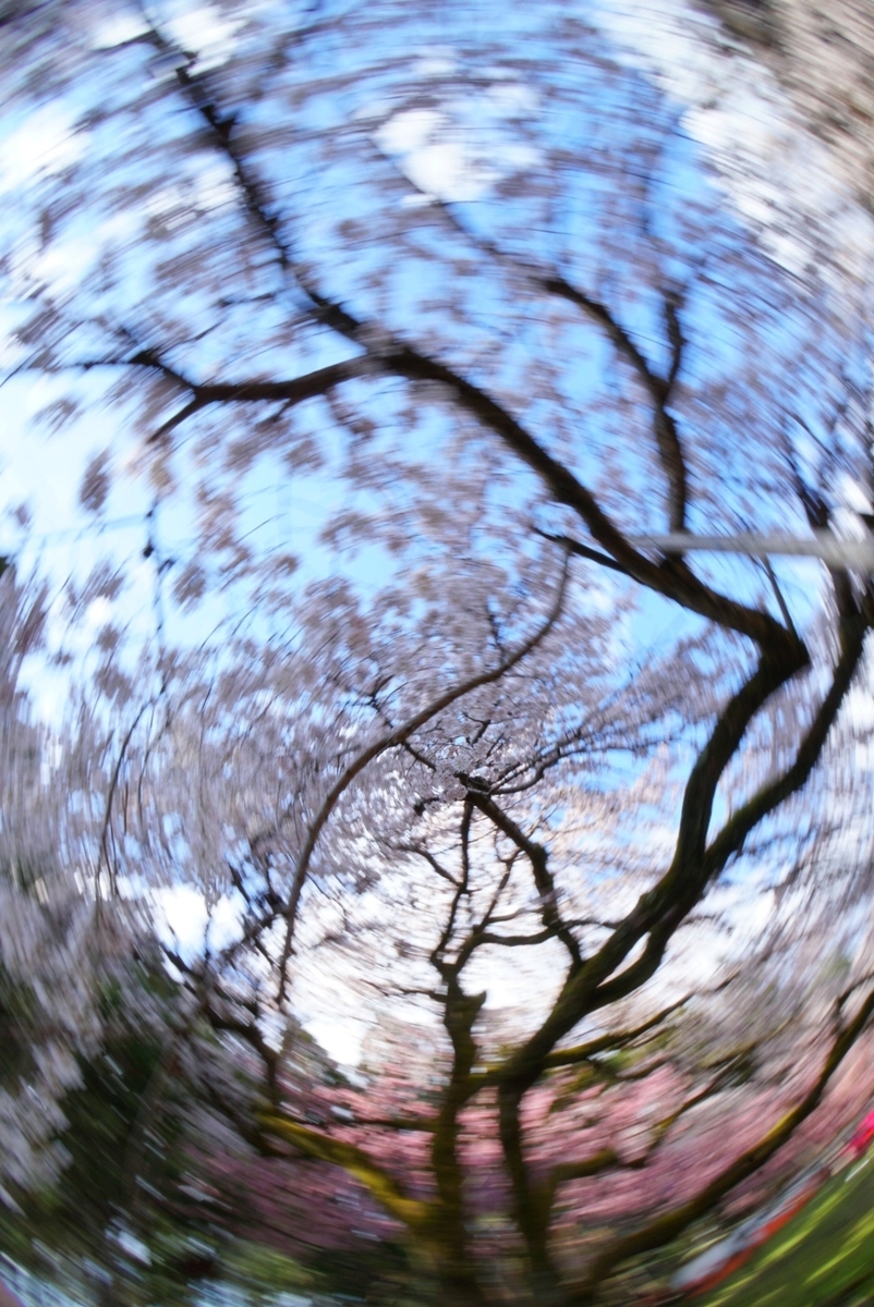 f:id:n_m_res:20190402094604j:plain