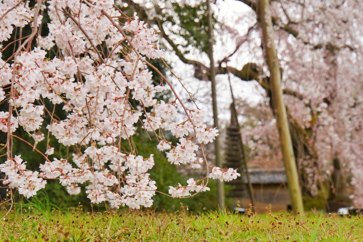 f:id:n_m_res:20190402094651j:plain