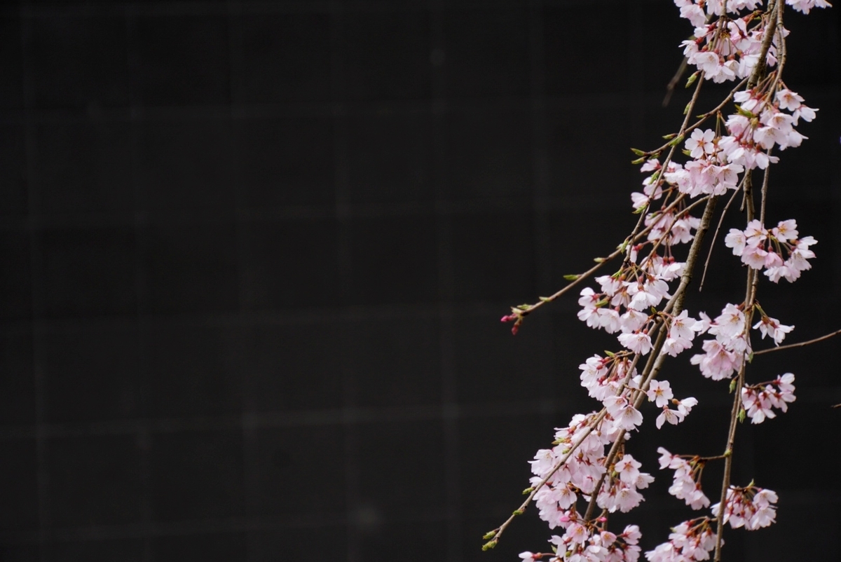 f:id:n_m_res:20190402094655j:plain