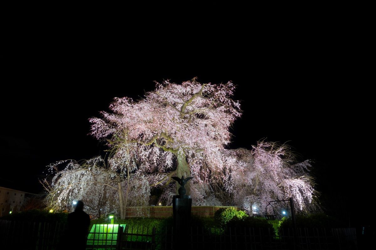 f:id:n_m_res:20190406094503j:plain f:id:n_m_res:20190406094503j:plain