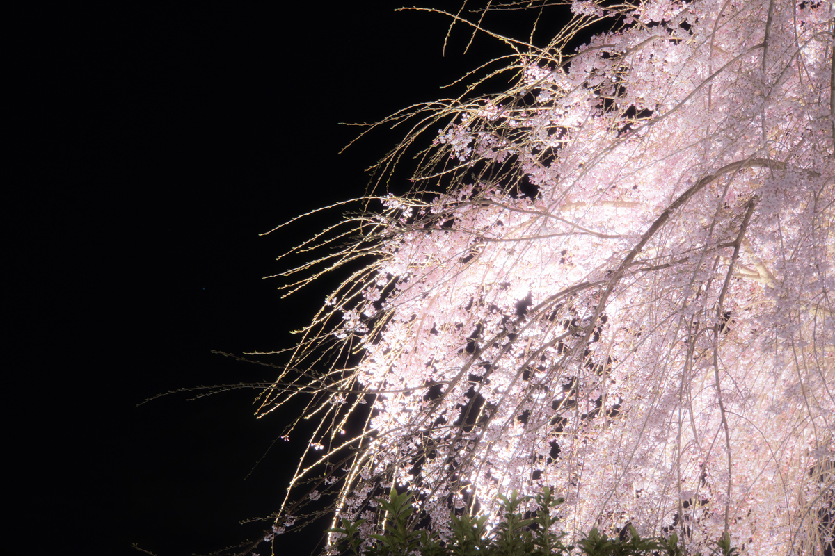 f:id:n_m_res:20190406094508j:plain f:id:n_m_res:20190406094508j:plain