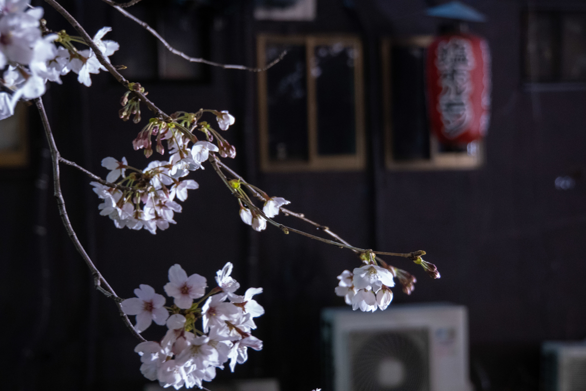 f:id:n_m_res:20190416154330j:plain