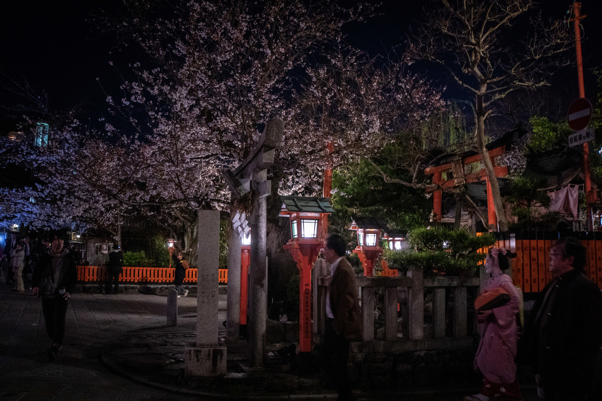 f:id:n_m_res:20190416155325j:plain