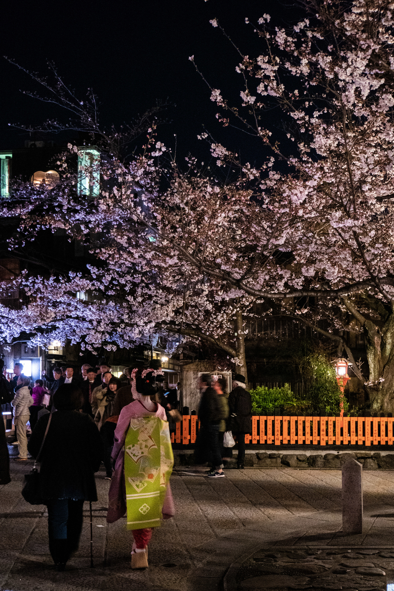 f:id:n_m_res:20190416155327j:plain