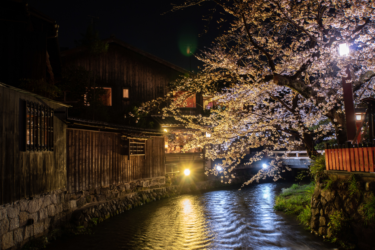 f:id:n_m_res:20190416160025j:plain