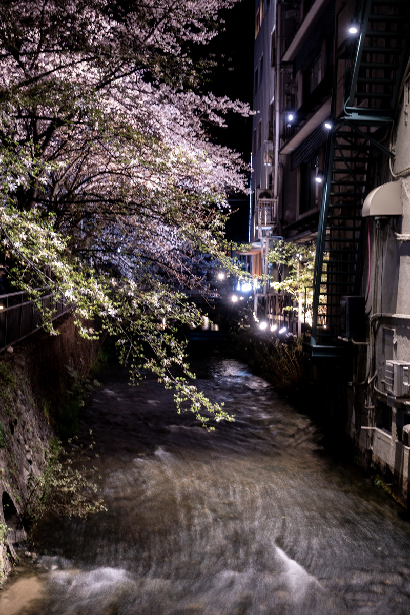 f:id:n_m_res:20190416162511j:plain