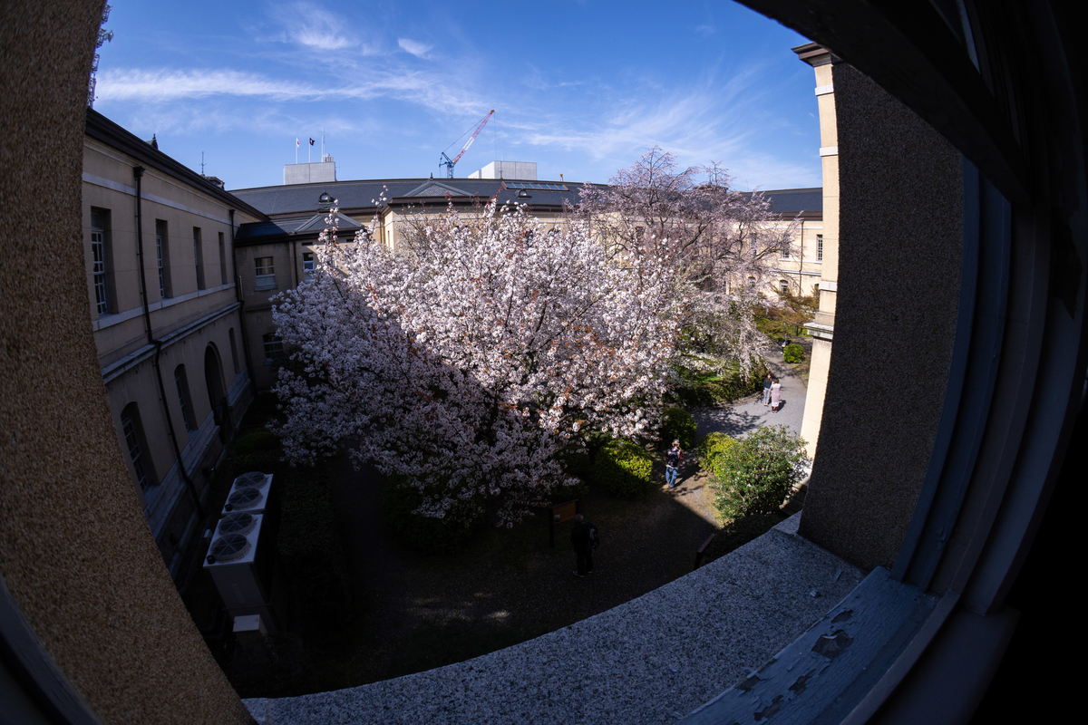 f:id:n_m_res:20190420152825j:plain