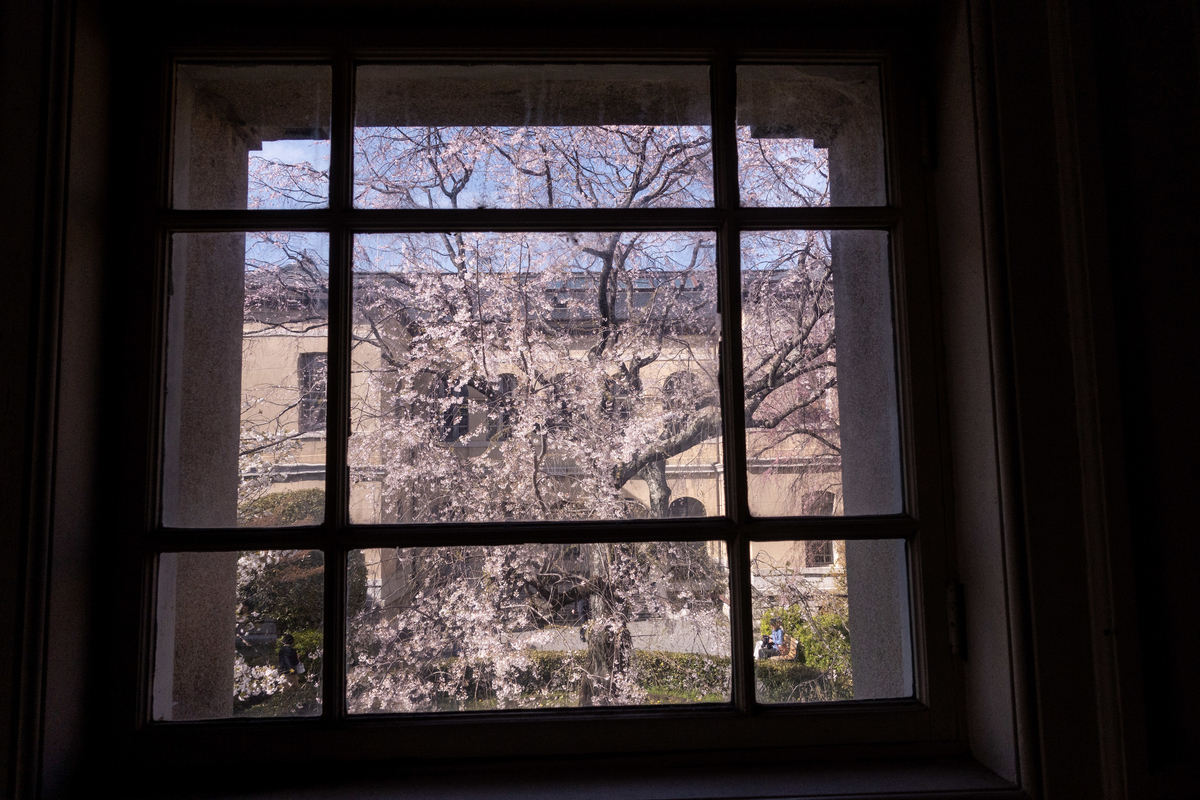 f:id:n_m_res:20190420152827j:plain