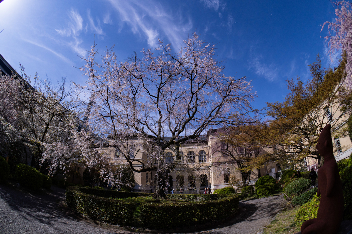 f:id:n_m_res:20190420152933j:plain