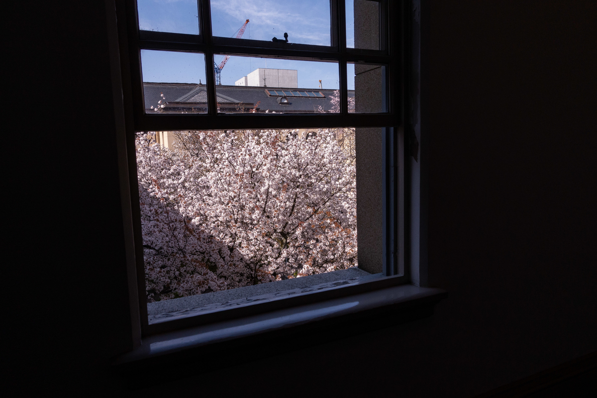 f:id:n_m_res:20190420152942j:plain