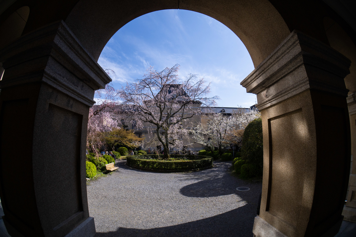 f:id:n_m_res:20190420153256j:plain