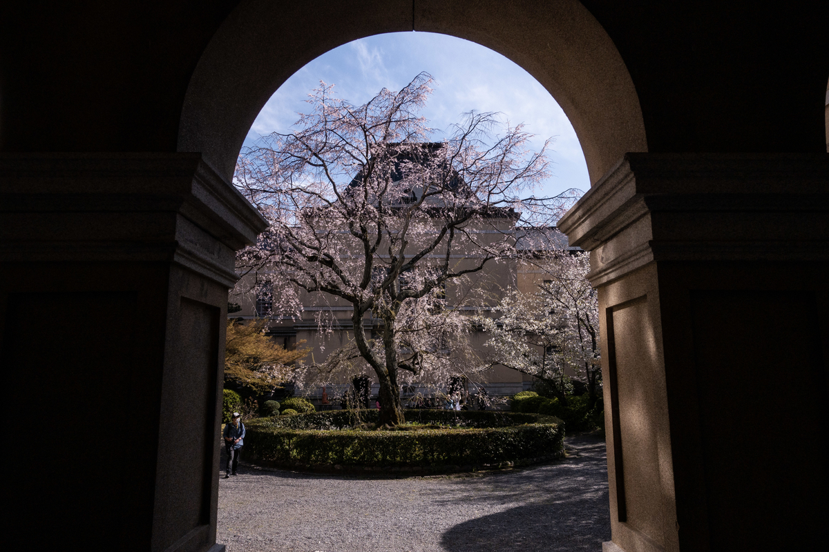 f:id:n_m_res:20190420153258j:plain