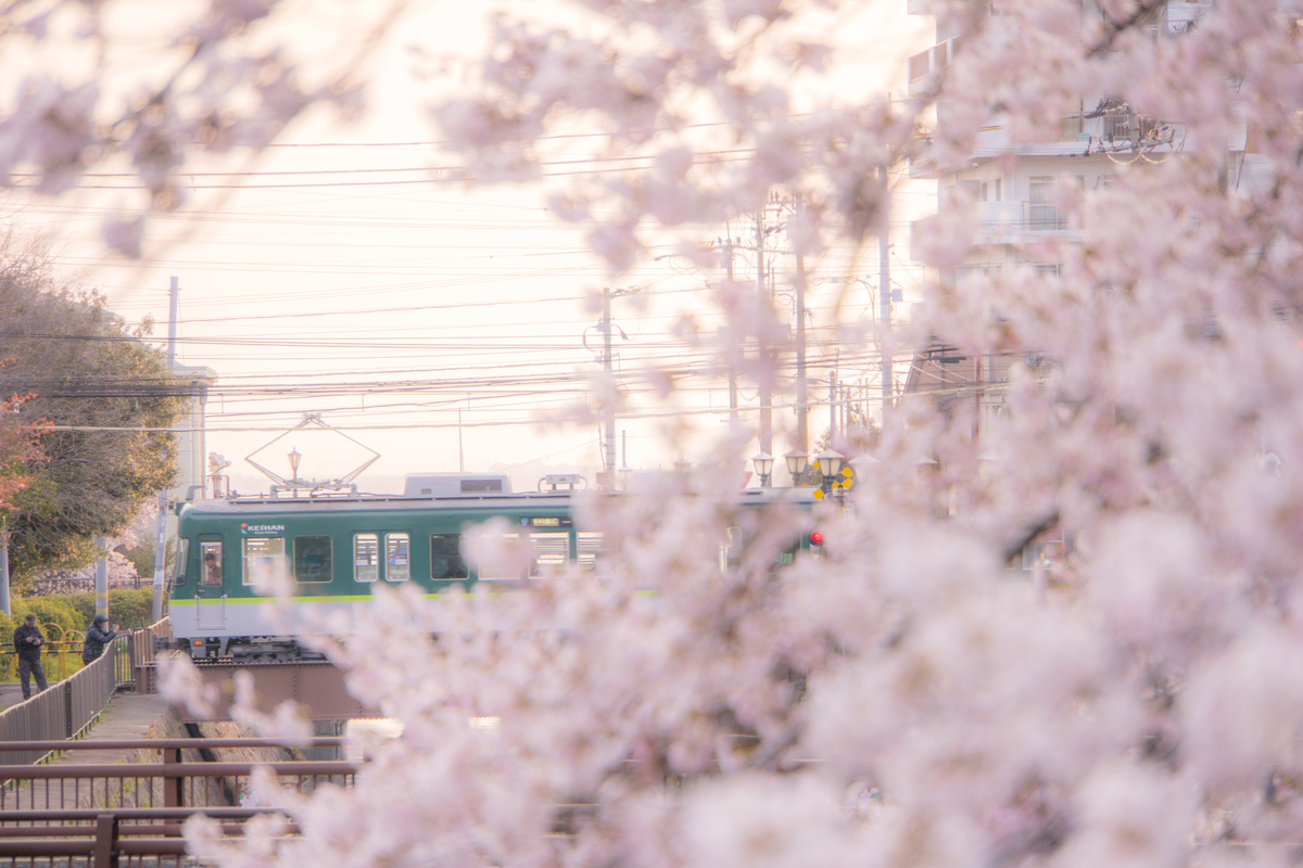 f:id:n_m_res:20190424134142j:plain