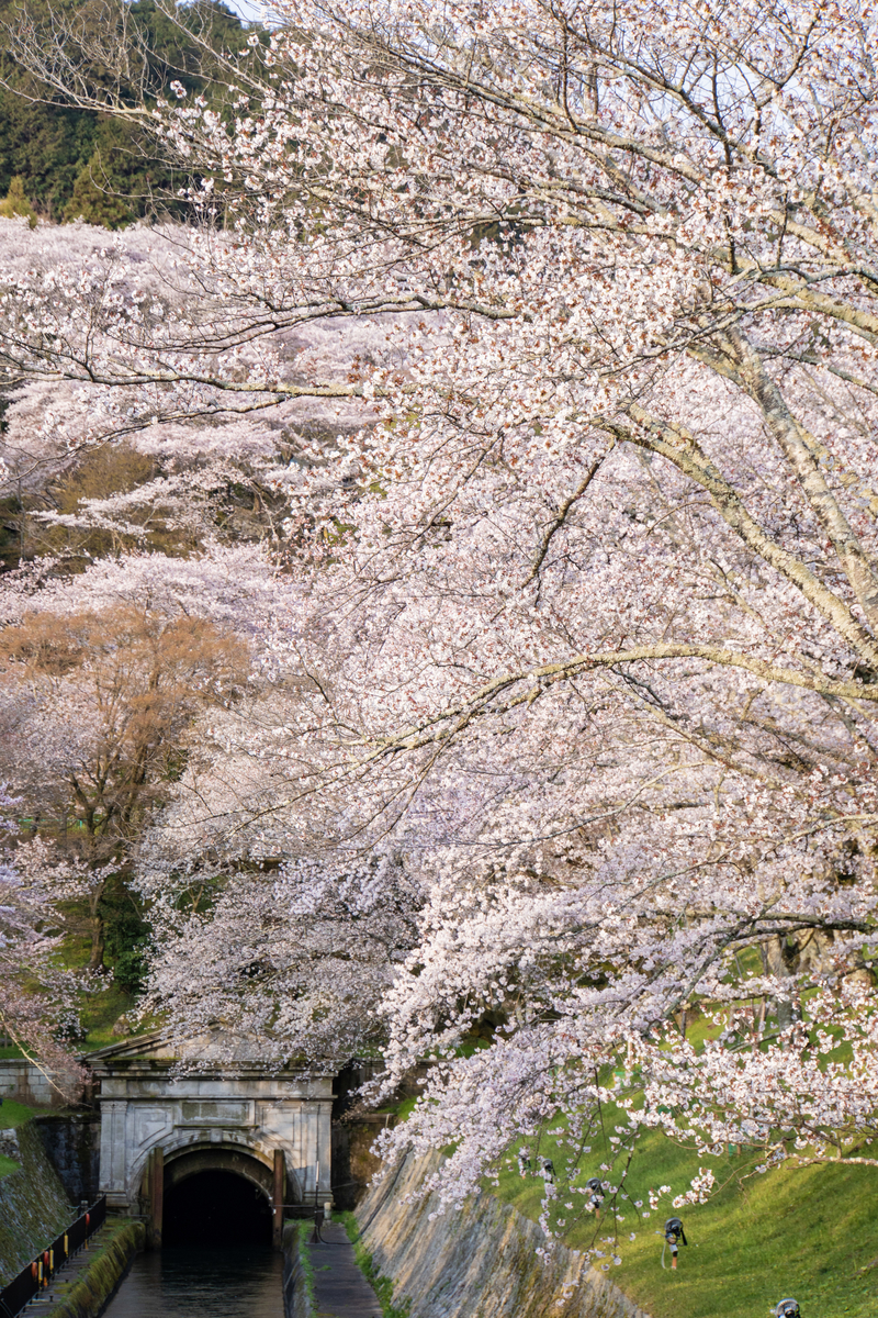 f:id:n_m_res:20190424134148j:plain