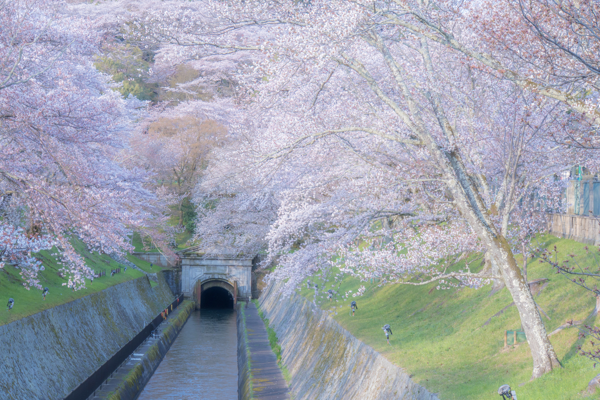 f:id:n_m_res:20190424134151j:plain